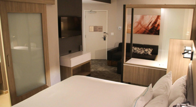 Двухместный люкс Springhill Suites Baltimore White Marsh/Middle River