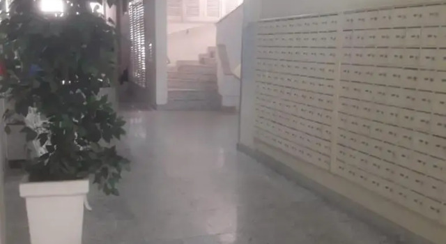 santa clara 1003