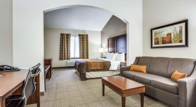 Двухместный люкс Comfort Inn & Suites Love Field-Dallas Market Center