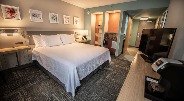 Двухместный номер Standard Hilton Garden Inn Asheville South
