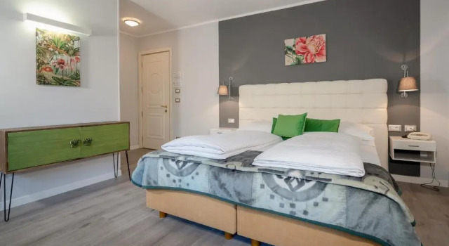Двухместный номер Comfort с видом на улицу Hotel Aster