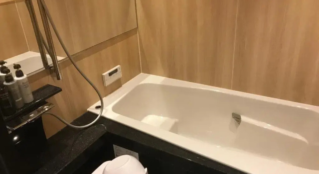 Двухместный номер Deluxe Hotel Yururito Osaka