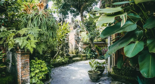 Widi's Villa, Rezervovat Vila Chaty v Bali, Chalupa