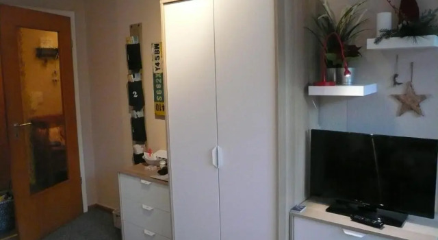 Körner 3