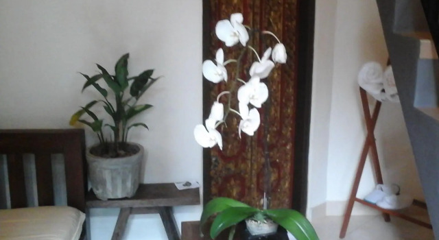 Номер Deluxe Corner Guest House Ubud