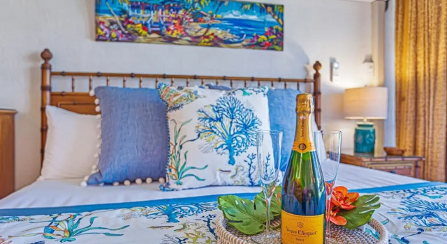 Papakea Oceanview Studio 0 Bedroom Condo by RedAwning