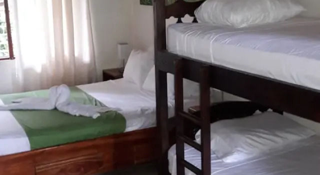 Номер Standard La Ceiba Tree Lodge