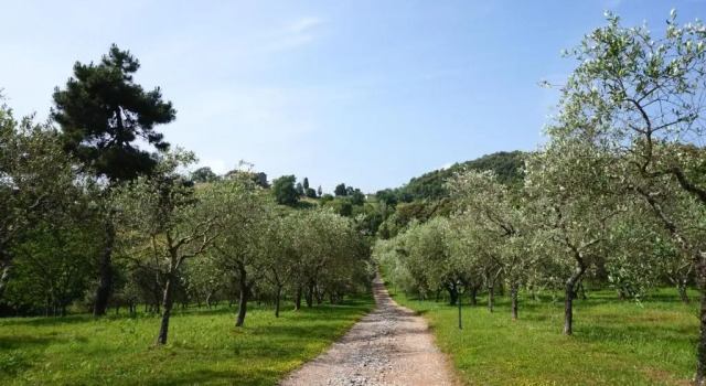 Номер Standard Agriturismo le Vallilunghe