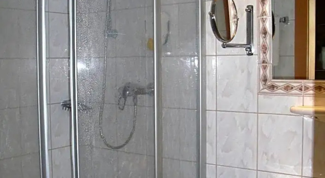 Номер Standard Hotel Lebzelter