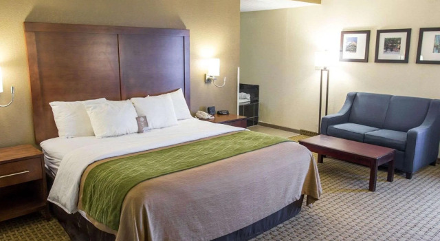 Двухместный люкс Comfort Inn Hammond
