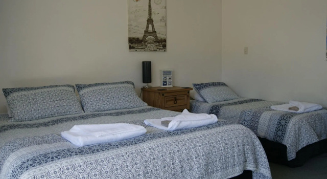 Студия Buller Bridge Motel