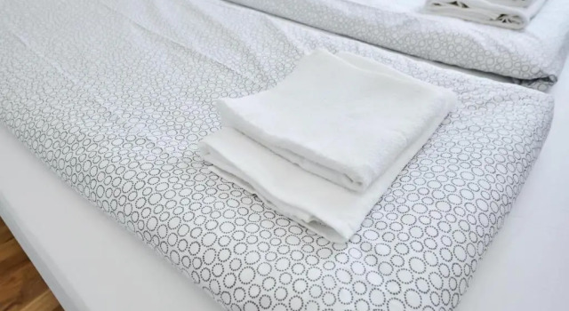 Апартаменты Deluxe Cute Apartment Zborovska