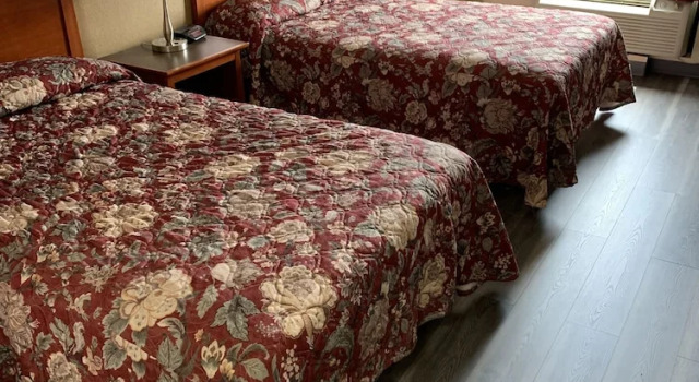 Четырёхместный номер Standard Amelia Inn & Suites