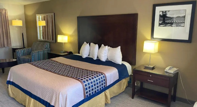 Номер Standard Vino Inn & Suites
