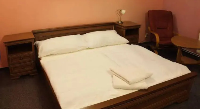 Hotel Bat ***, Prenota Hotel Hotel a Boemia centrale con piscina, Piscina