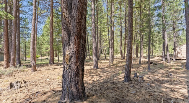 2 Landrise Pet-Friendly Home with Bikes to Use by RedAwning, Prenota Casa vacanze Sunriver 