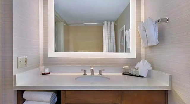 Четырёхместный люкс с 2 комнатами Embassy Suites by Hilton Anaheim North
