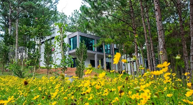 Вилла с 4 комнатами Terracotta Hotel & Villa Tuyen Lam Lake Dalat