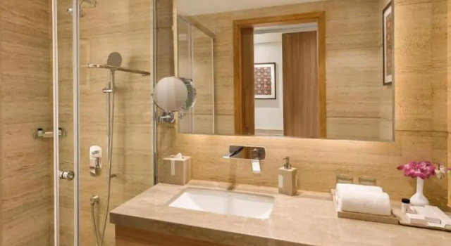 Двухместный номер Premium Bellevue Sarovar Premiere Junagadh