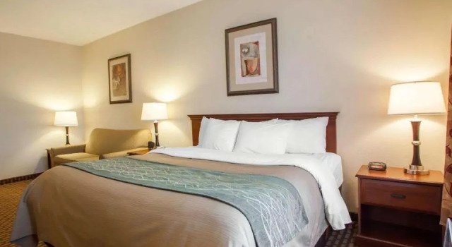 Двухместный люкс c 1 комнатой Comfort Inn & Suites Harrisonville