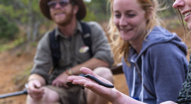 Stargazer Camp - Bellevue Forest Reserve, Buchen Sie Hotel Addo Addo-Elefanten-Nationalpark