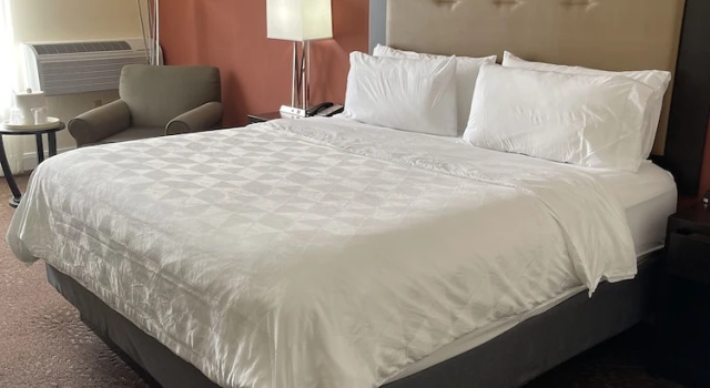 Двухместный номер Standard с видом на внутренний двор Holiday Inn Tyler - Conference Center by IHG