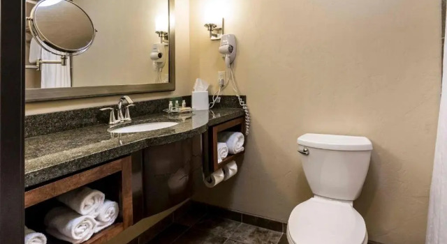 Standard- værelse Holiday Inn Hotel & Suites Durango Central