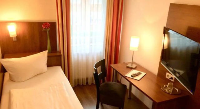 Одноместный номер Standard Hotel Triton
