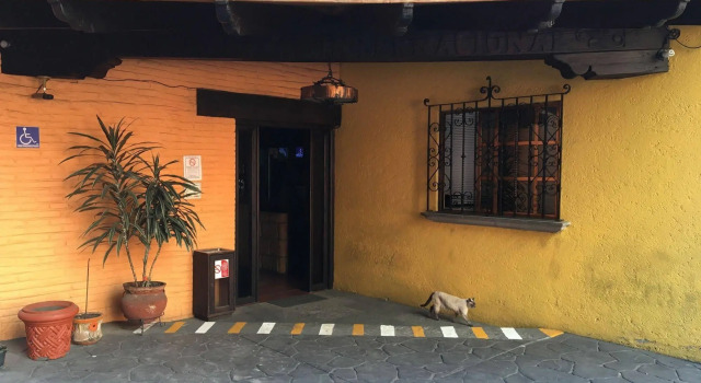 Hotel Playa Internacional, Prenota Hotel Città del Messico Messico Distretto Federale