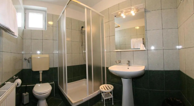Номер Standard Pensiune Montana