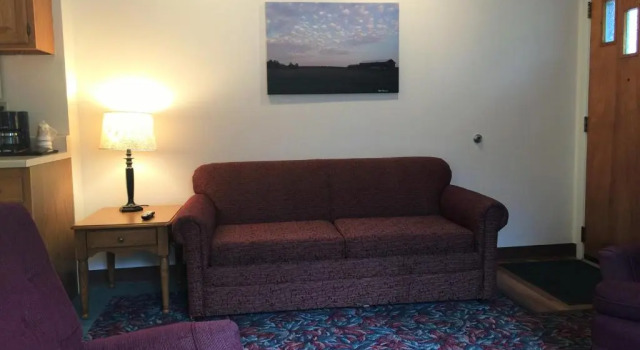 Люкс Cedar Motor Inn