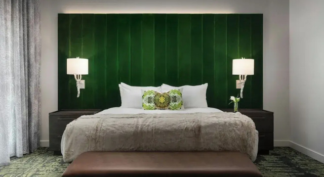Двухместный номер Standard Grand Bohemian Lodge Greenville, Autograph Collection