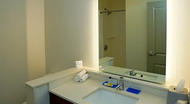 Четырёхместный люкс Holiday Inn Express & Suites - Aurora Medical Campus by IHG
