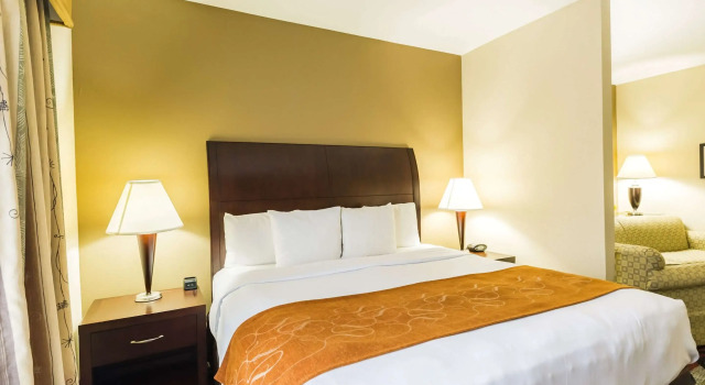 Двухместный люкс Comfort Suites Beaumont I-10