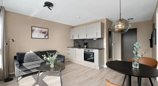 Апартаменты Bjørvika Apartments - Sirkus Renaa