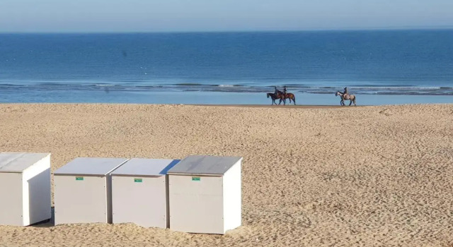 Апартаменты Koksijde Zeedijk La Digue 101 appartement - frontaal zeezicht - adult only