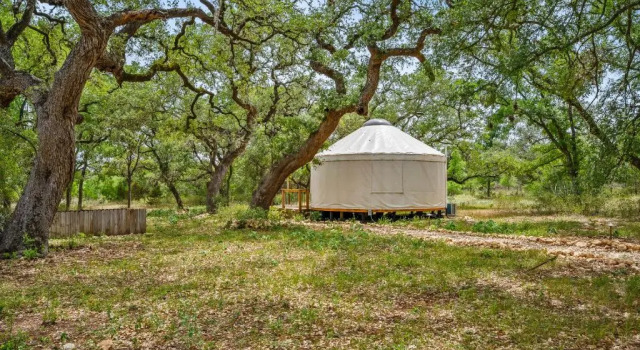 OT 3515b Texas Yurt Haus Buffalo