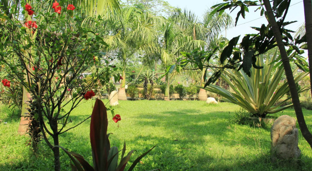 Chitwan Safari Resort, Забронировать Отель Читван провинция Багмати-Прадеш