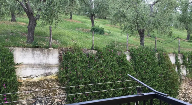 Студия Alba Del Gargano Home