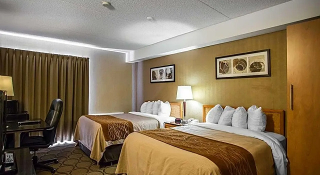 Номер Standard Comfort Inn Kanata Ottawa West