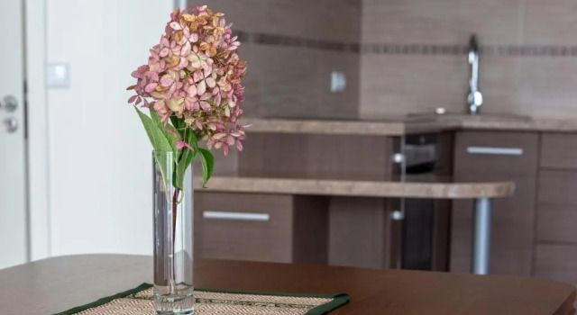 Апартаменты Violetos Lux Apartamentai