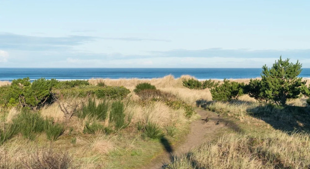 Seahorse Cottage 2 Bedrooms 1 Bathroom Home, Book Feriehus Sommerhuse i North Oregon Coast, Hytte