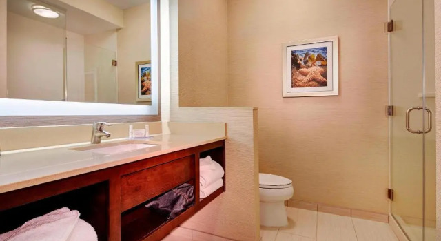 Люкс Fairfield Inn & Suites by Marriott San Diego Carlsbad