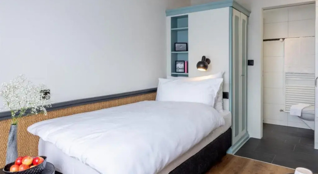 Одноместный номер Standard Hotel Luzernerhof