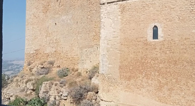 Lejlighed Naro