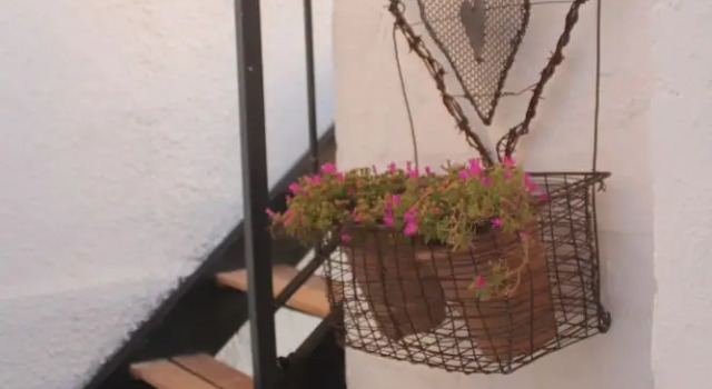 Номер Standard Acara Guesthouse & Cottages