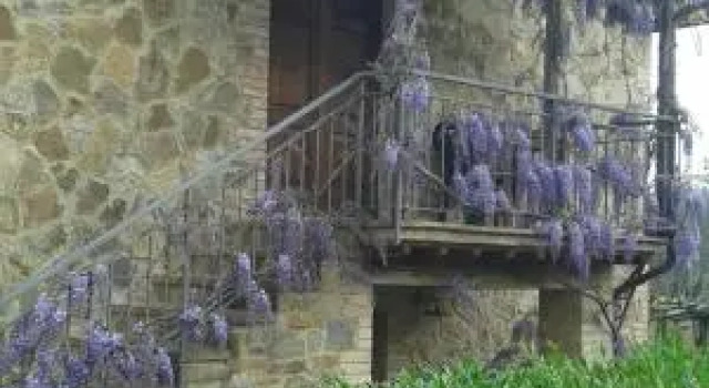 Casa Vacanze Porta Vecchia