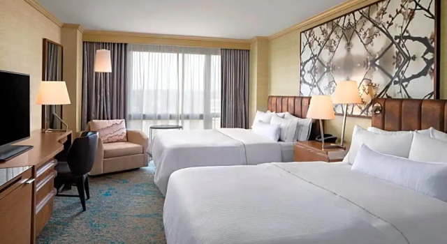 Номер Standard The Westin Crystal City Reagan National Airport