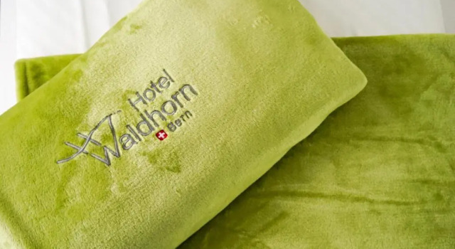 Номер Economy Hotel Waldhorn