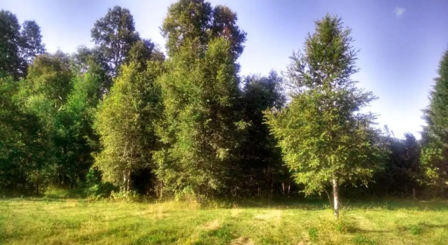 Lafken Lodge, Rezervovat Hotel Hotely v Araucanía s parkováním, Parkování
